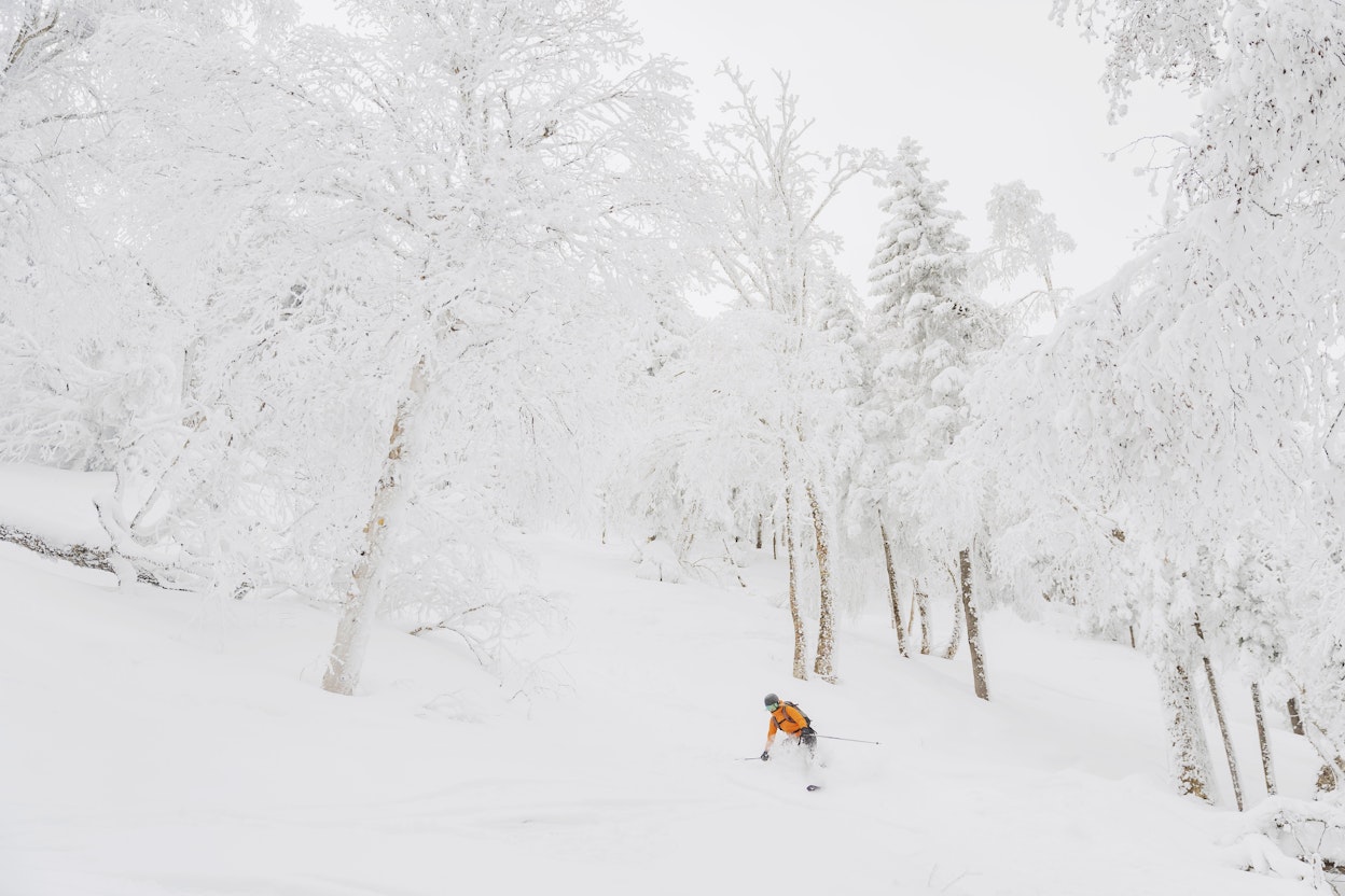 Station touristique Massif du Sud