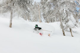 Massif du Sud touristic Resort