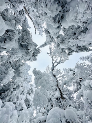 Massif du Sud touristic Resort