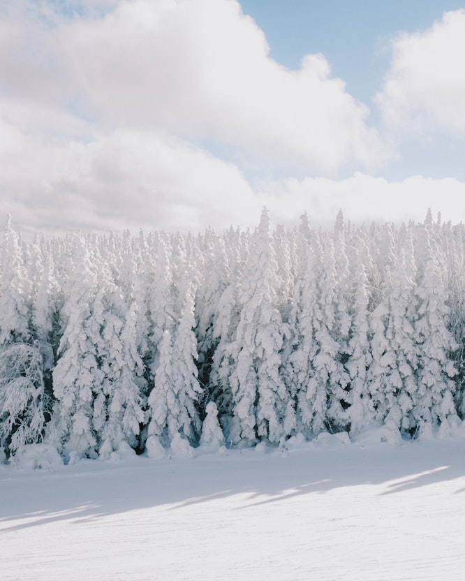 Massif du Sud touristic Resort