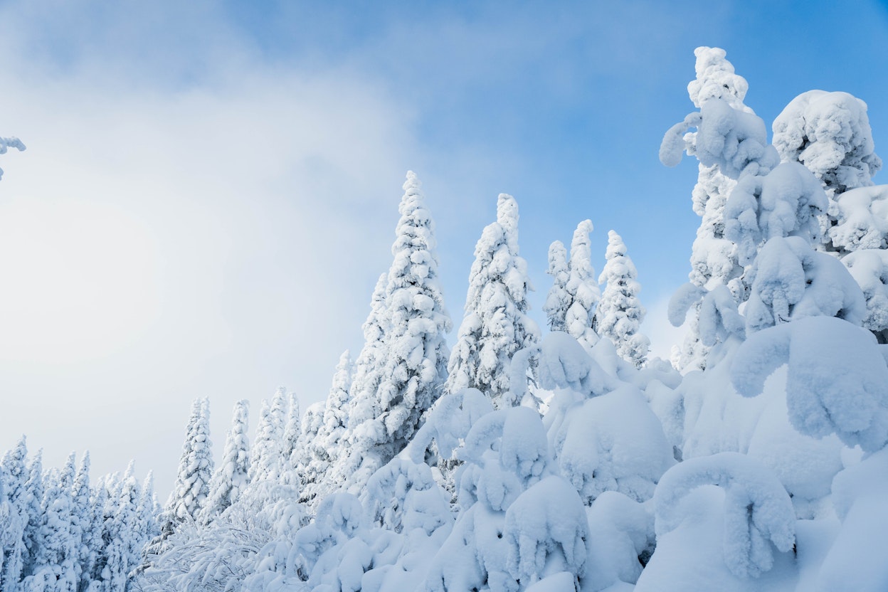 Station touristique Massif du Sud
