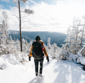 Parc du Massif du Sud