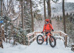 Parc du Massif du Sud