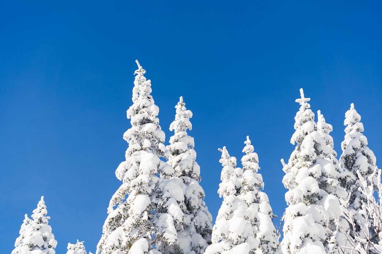 Station touristique Massif du Sud
