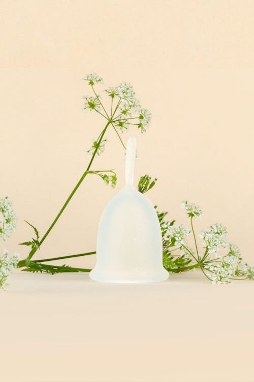 Tout savoir sur la coupe menstruelle