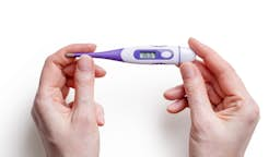 symptothermie fertilité ovulation