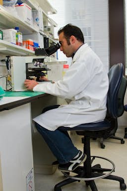 ECBU examen cytobactériologique des urines