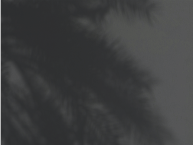 Black and white image of a branch