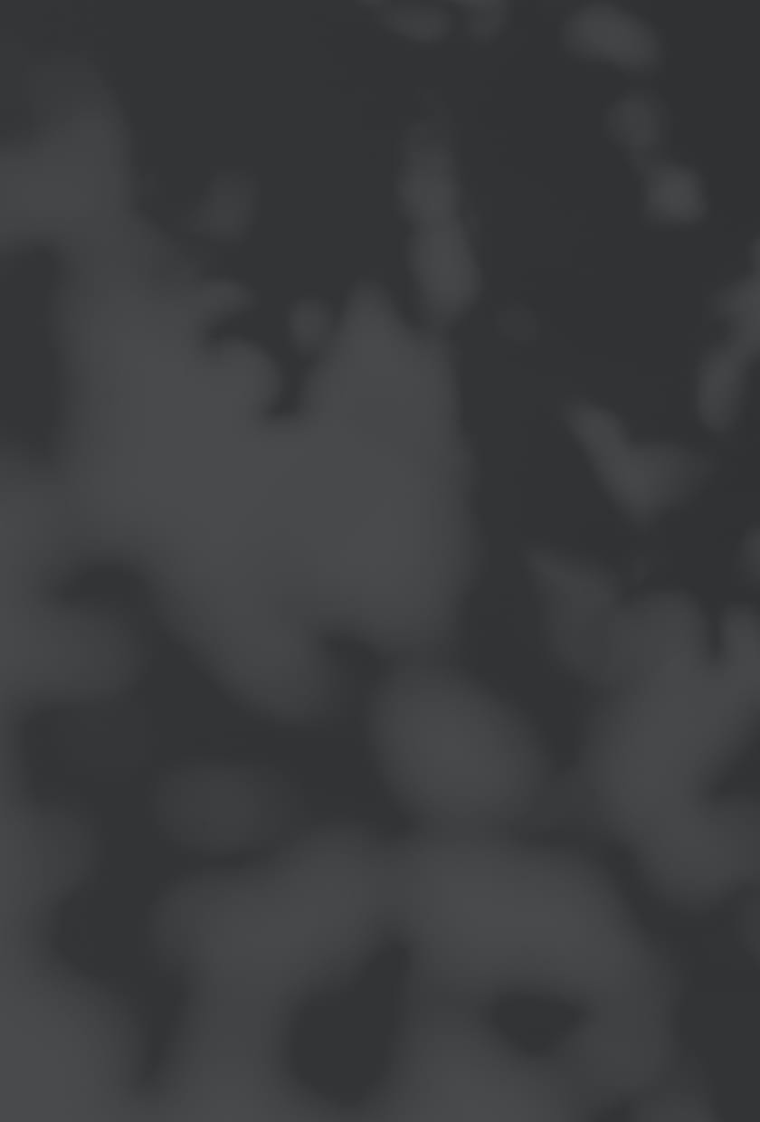 Leaves on dark background