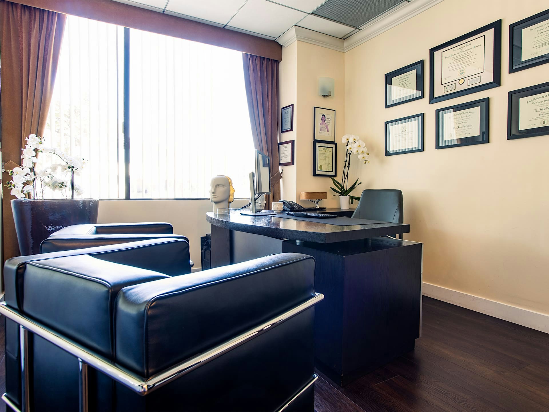 Dr. John Vartanian office