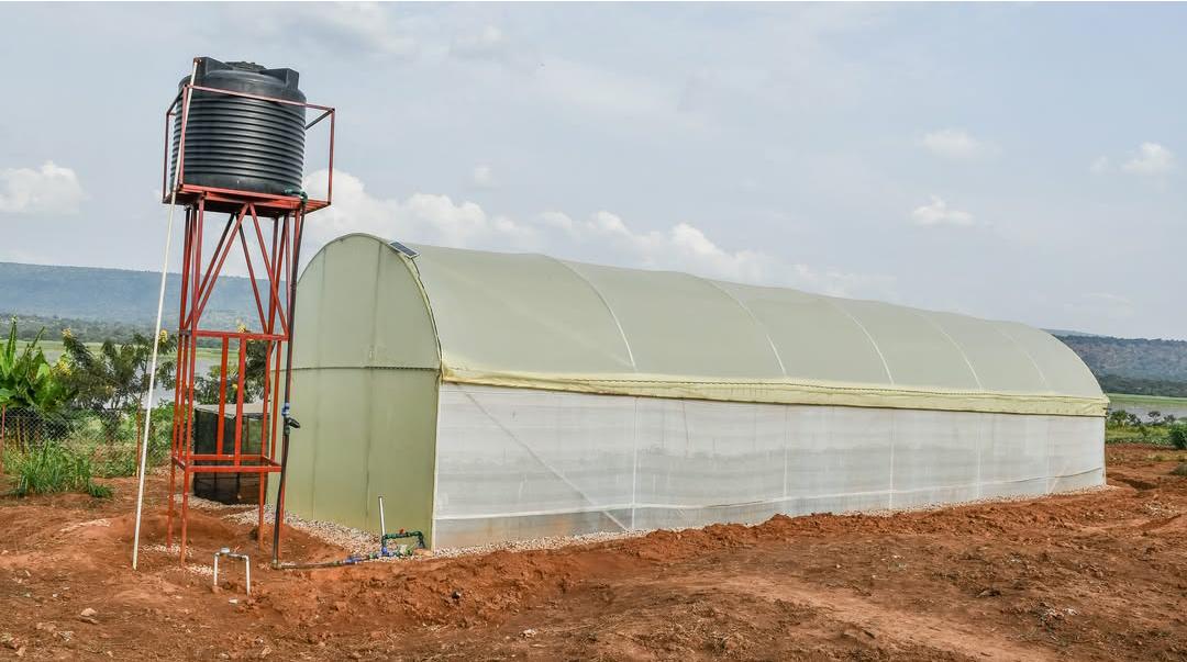 Smart Greenhouse Farming in Mahama Refugee Camp – Empowering Refugees Through Innovation
