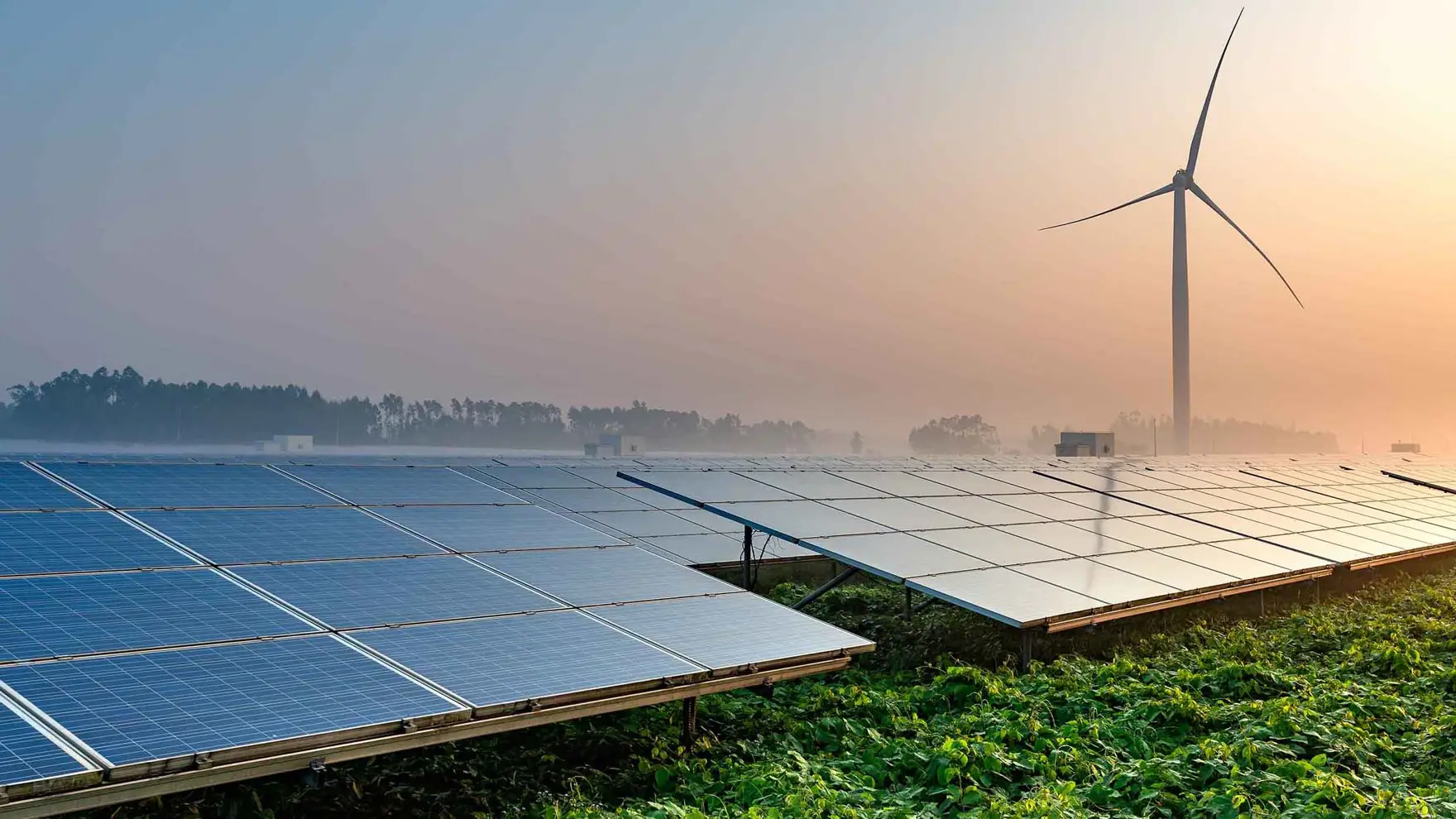 Zonnepanelen in de ochtendmist