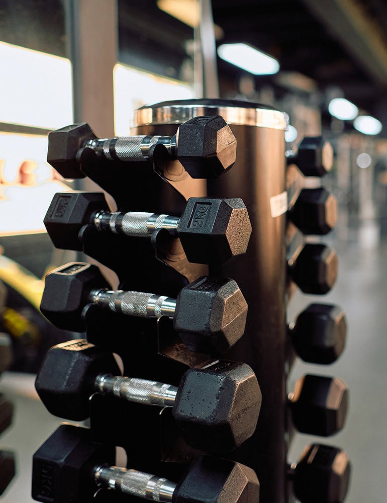 dumbbells on a rack