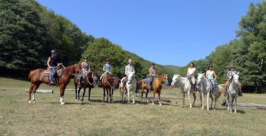 Corsi di equitazione western Corsi di equitazione western