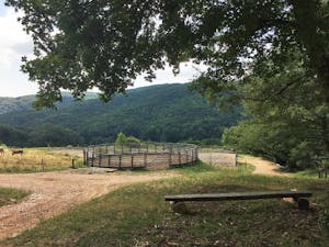 Tondino al Cornacchino