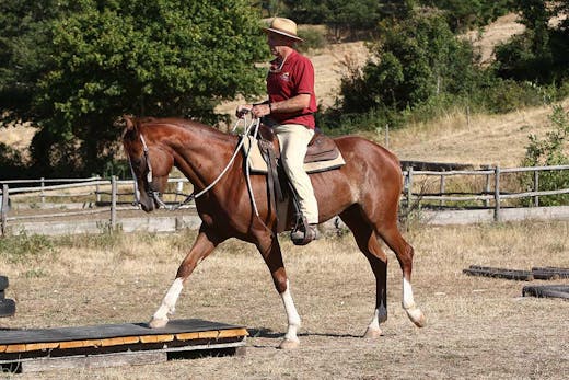 Cavallo e cavaliere, esercizi con ostacoli
