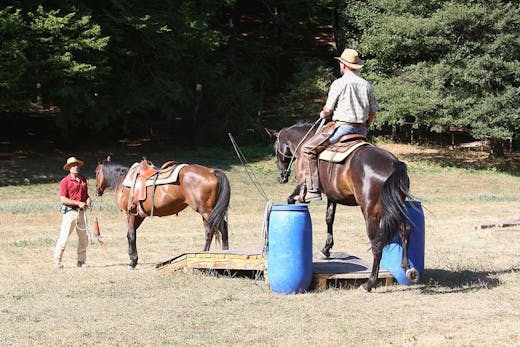 Cavallo e cavaliere, esercizi con ostacoli