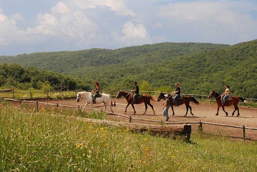 Lezione in maneggio al Cornacchino