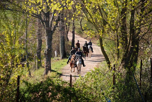 Passeggiate a cavallo