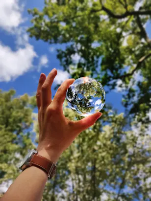 Youse reforça iniciativas de conscientização e redução de impacto ambiental