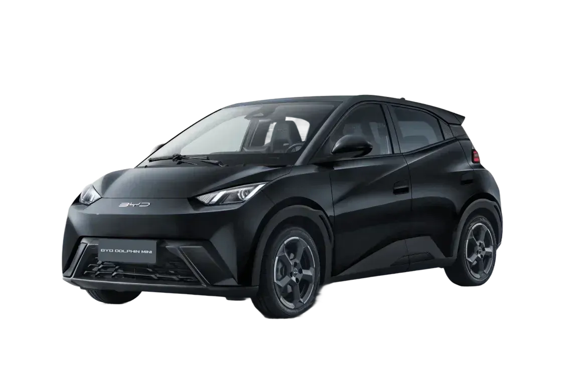Seguro para BYD Dolphin Mini