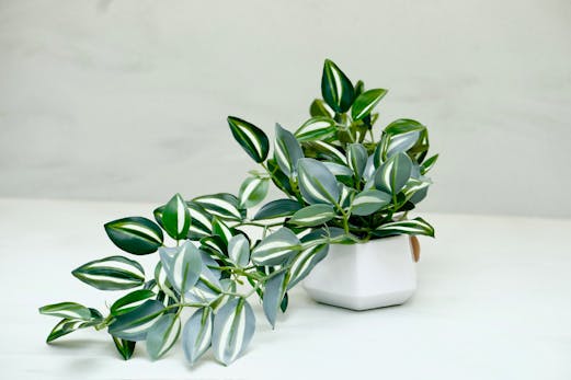 MD Glow Lab Office media