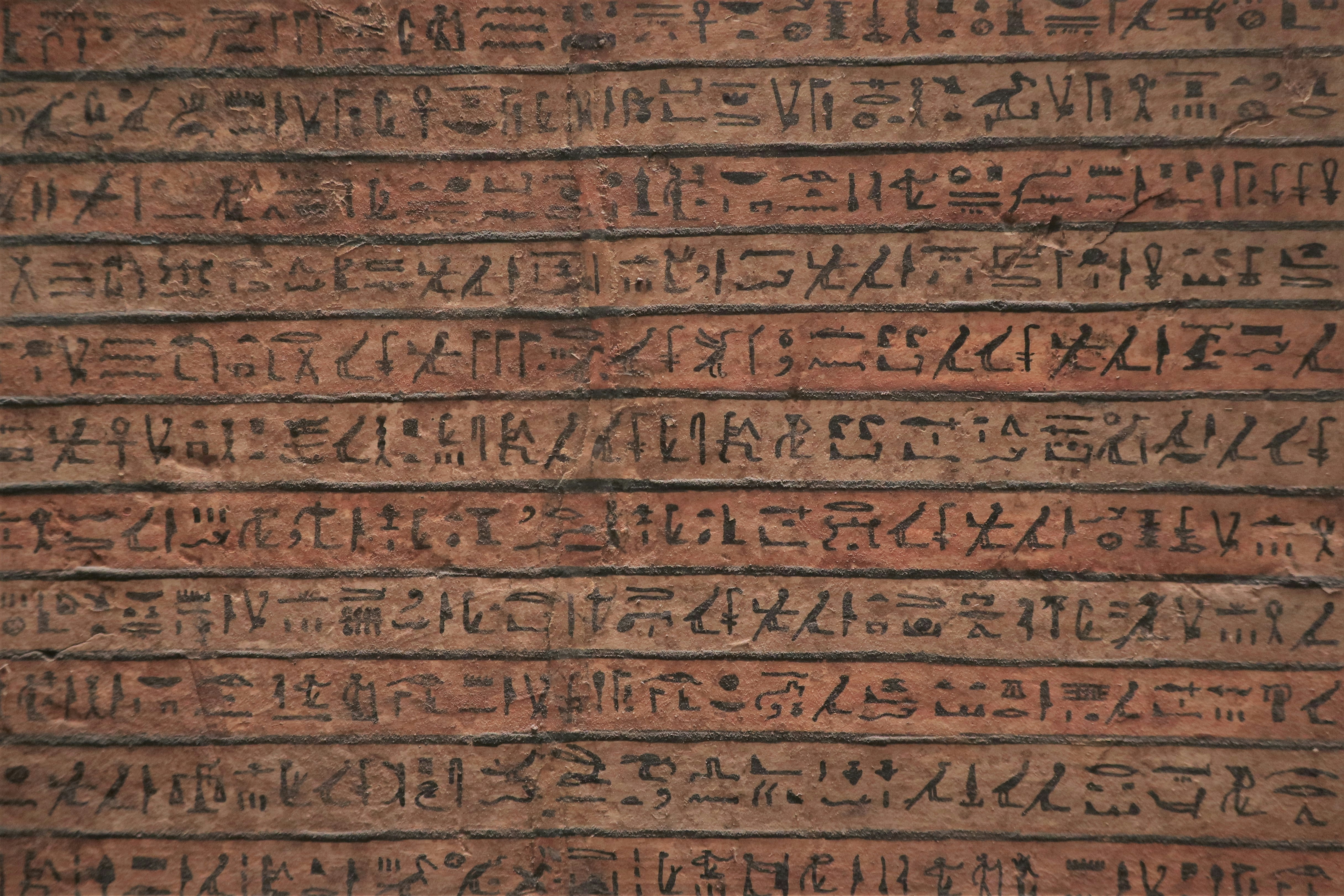 الكتابة والإنسان