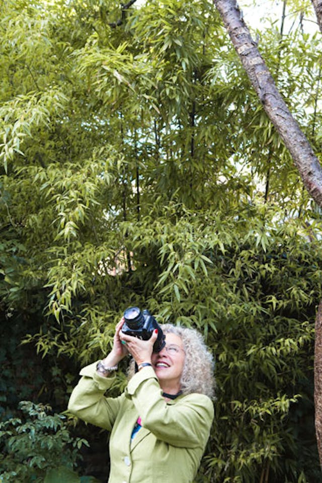 Portrait of Nancy Honey photographing Portrait of Nancy Honey photographing
