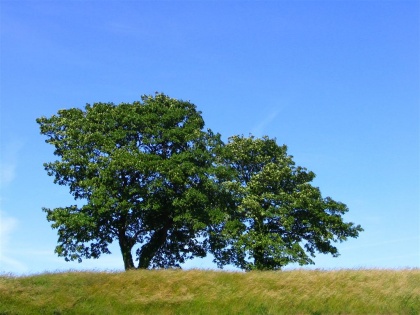 Delavnica Odprti prostor tudi za skavte.