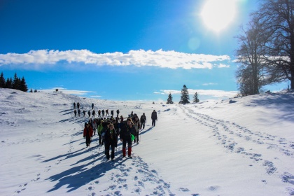 FOTO in VIDEO: V belem iskanju sreče
