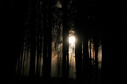 Ob polni luni na Blegoš - že tretjič z Loškimi...