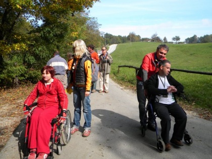 Skavtski krst Divjih risov