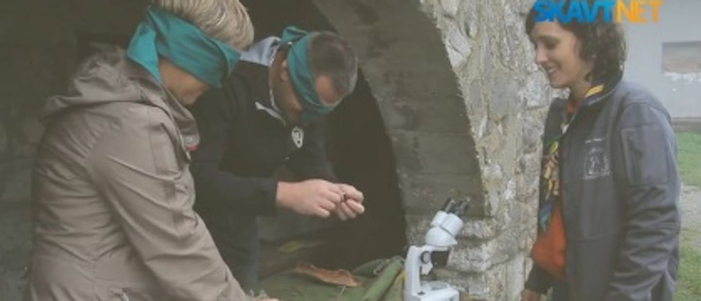 Odprli smo vrata (VIDEO)