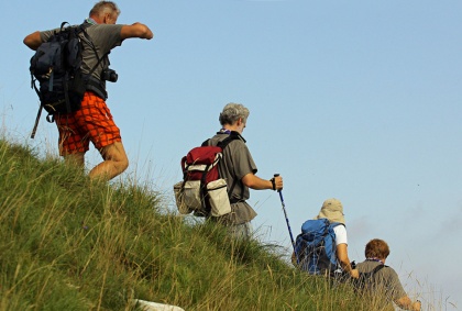 Iskali Alpsko možino in druge rožce na Poreznu