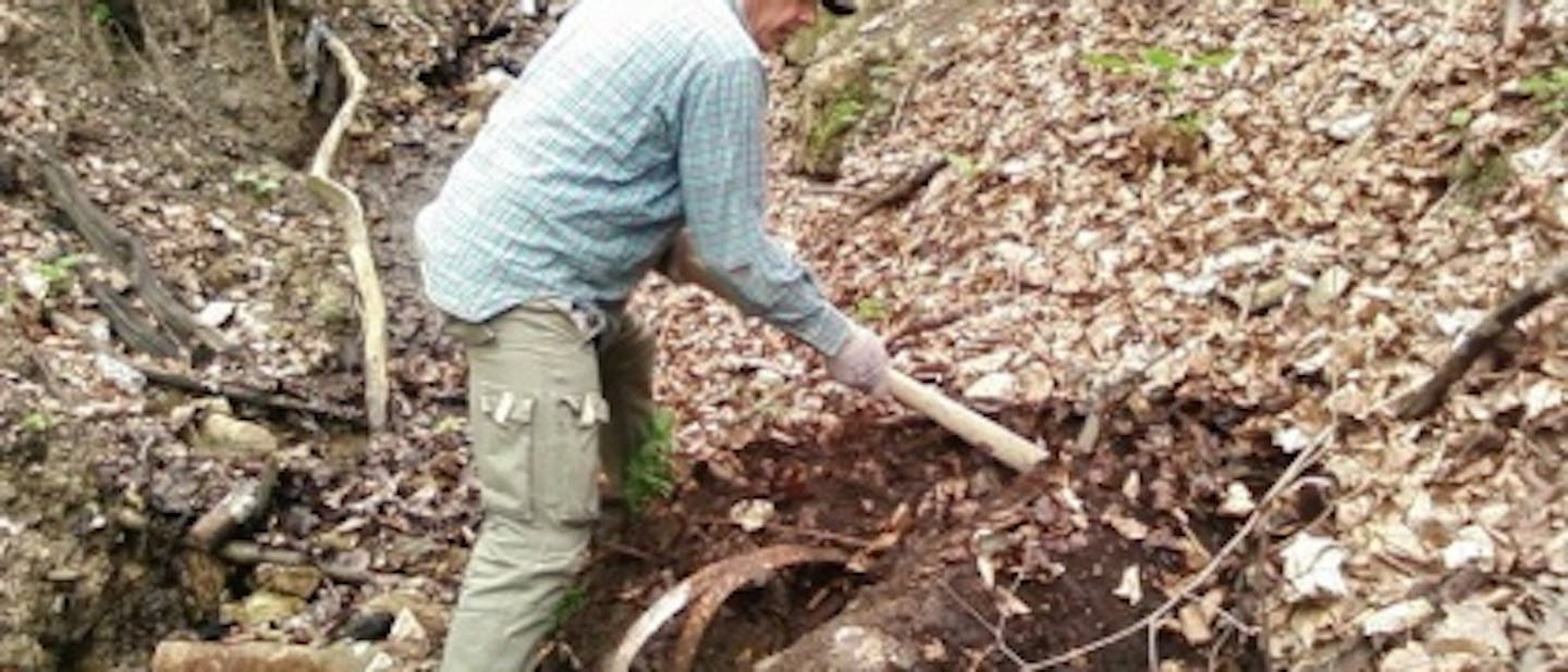 Čistili smo grapo nad parkom