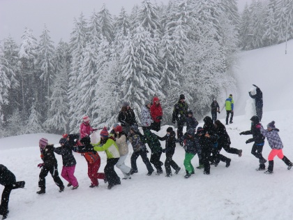 Mamutovanje - zimovanje Mamutovega stega - Kamnik...