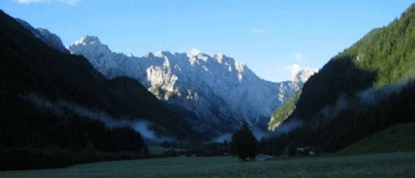 Pojdite