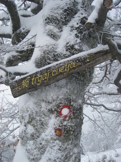 Ob polni luni na Blegoš. Tokrat malo drugače