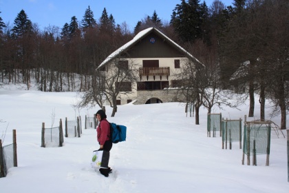 V naravi (Rogu) sem doma - čeprav je zima :)