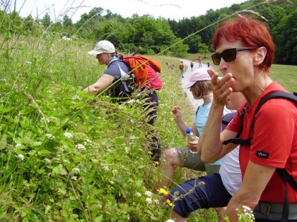 Po Slomškovi poti od Bizeljskega do Polja ob