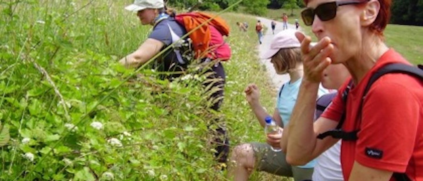 Po Slomškovi poti od Bizeljskega do Polja ob
