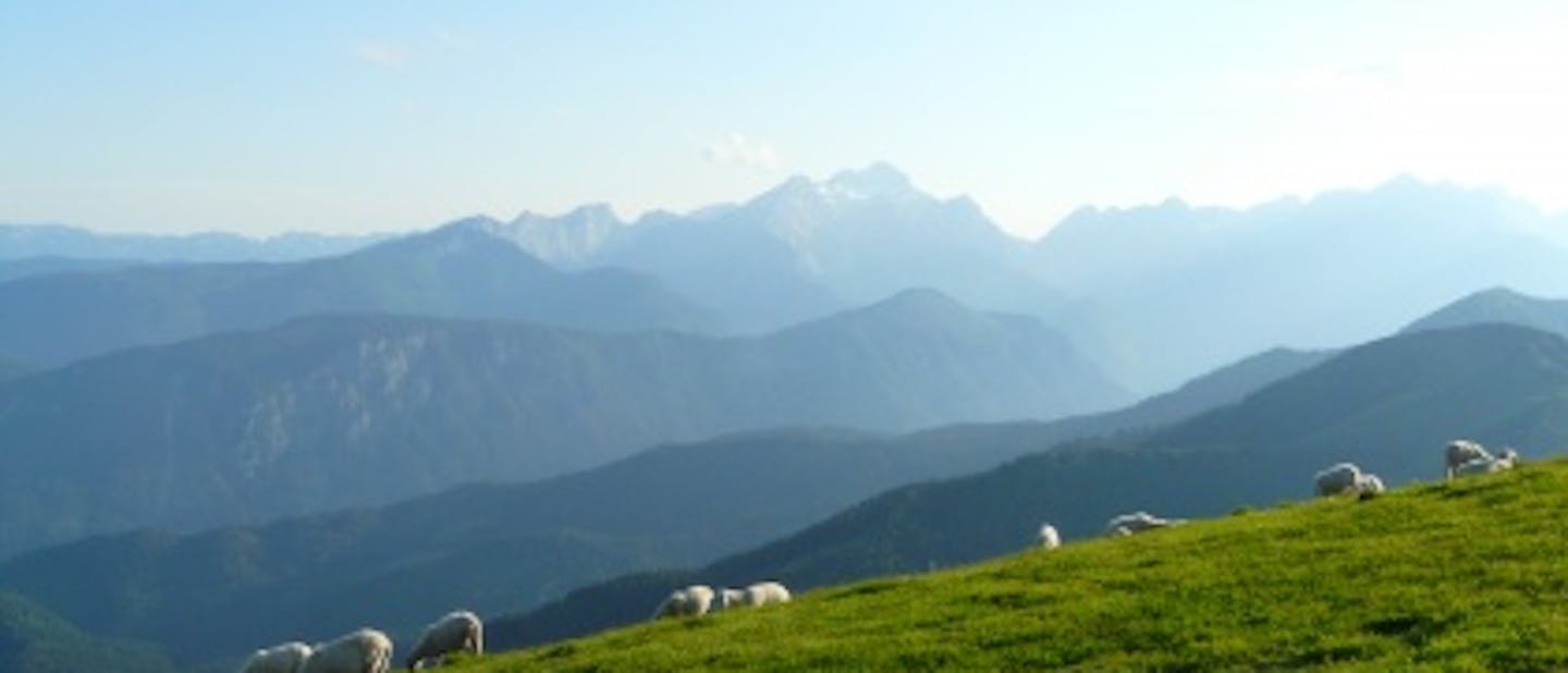 Grče vabijo na tradicionalno Golico