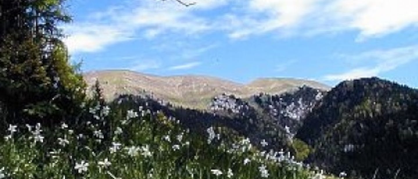 Na Golico v vsakem vremenu!