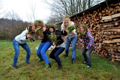 Kaj se je dogajalo v džungli