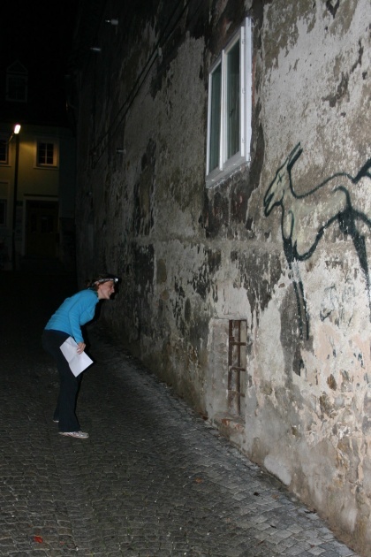 Urbanacija se seli v Maribor