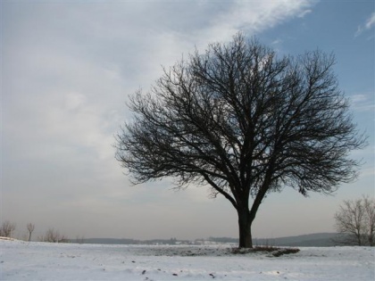 Kančevci 2009: Spregovoril nam je sveti Pavel