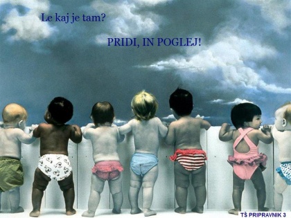 Kje naj začnem svojo skavtsko pot? Na TŠ...