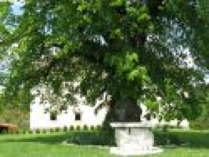 Kjer je volja, tam je vedno pot…