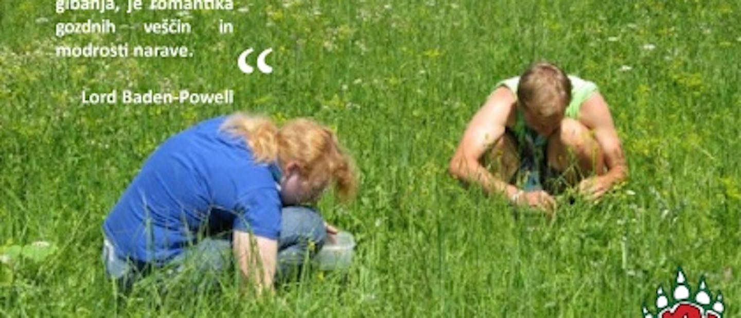 Prijave za skavtsko šolo ŽvN1 2012