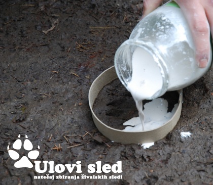 Z majem natečaj Ulovi sled!